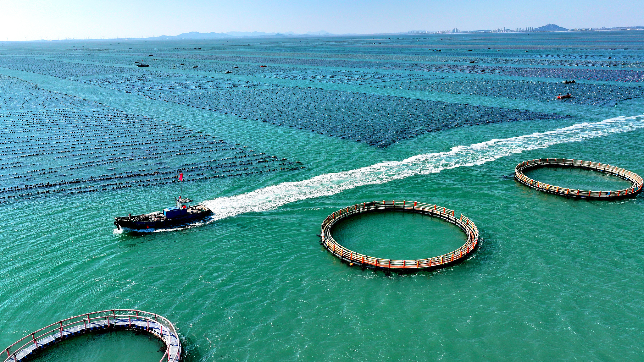 Tiongkok Mempromosikan Pembangunan Ekonomi Kelautan Yang Berkualitas Tinggi