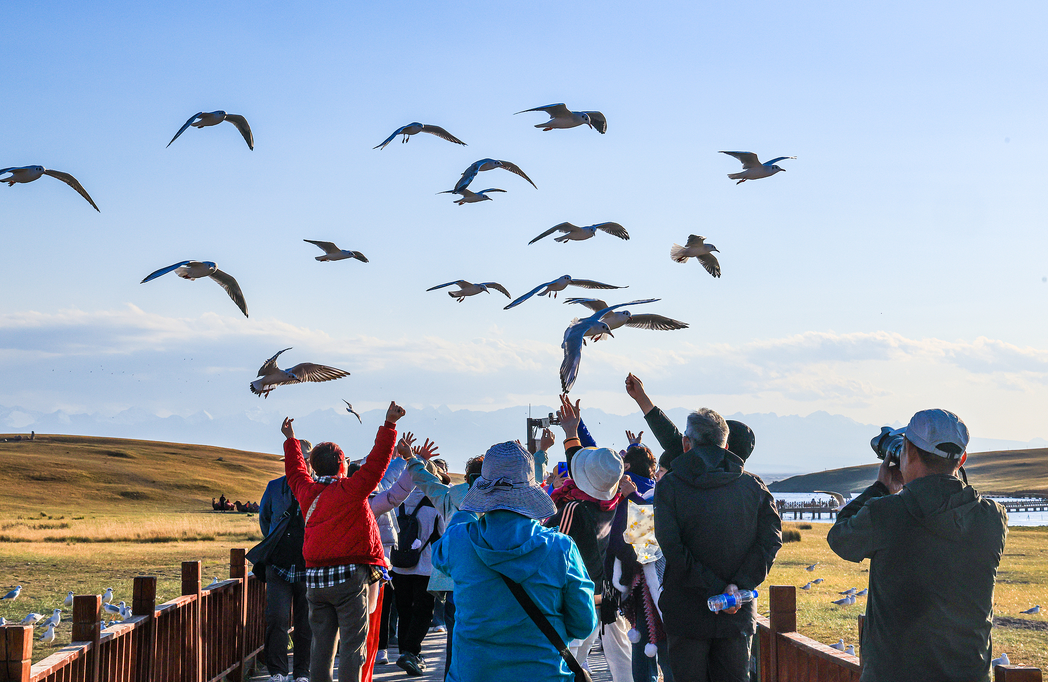 Padang Rumput Bayanbulak Menarik Wisatawan dengan Pemandangannya yang Luas dan Menakjubkan