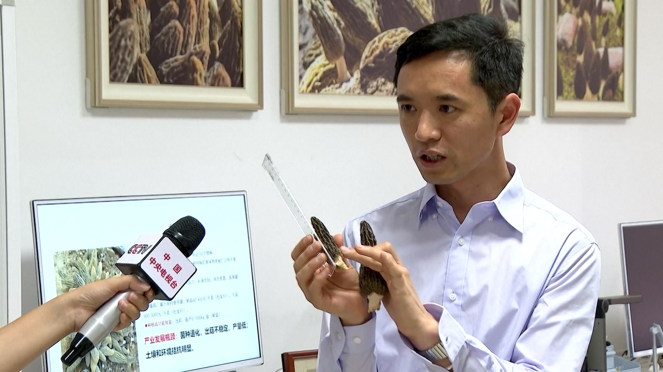 Menurut para peneliti