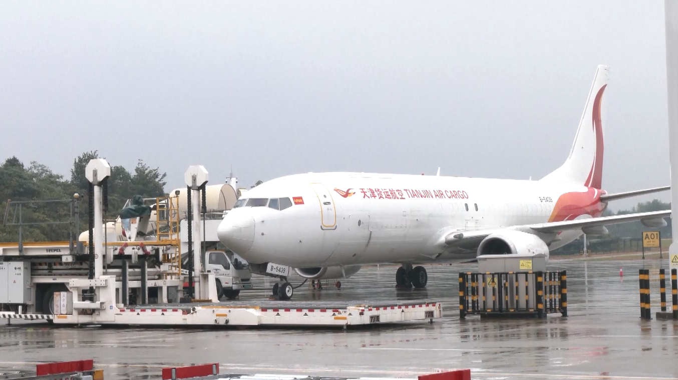 Bandara di Tiongkok Tengah Layani Lebih dari 100 Penerbangan pada Bulan Pertama Operasi Kargo Internasional