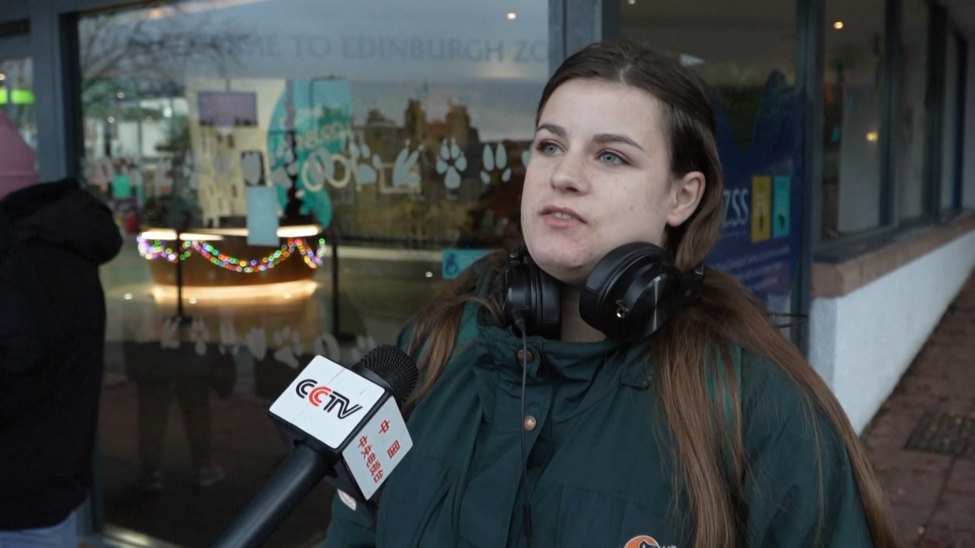 Kedua panda tersebut telah memasuki masa karantina beberapa hari yang lalu