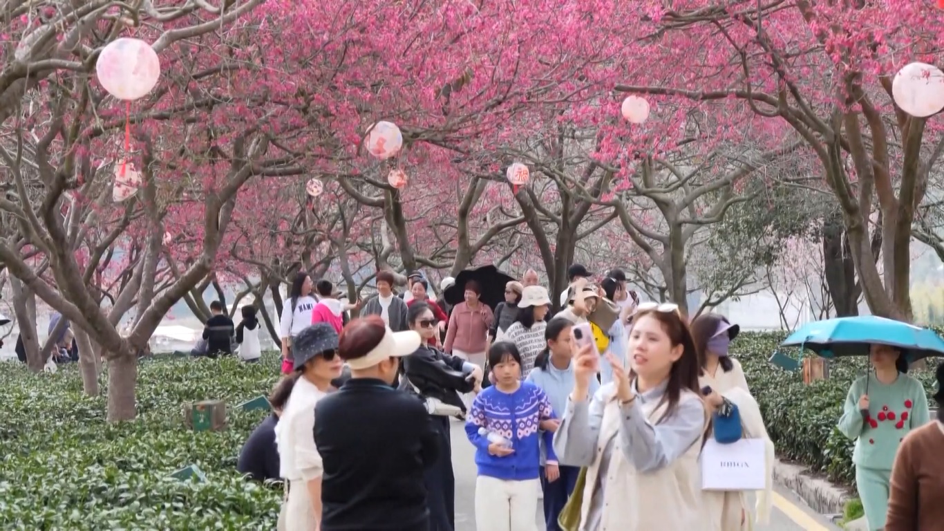 Di Provinsi Fujian di Tiongkok timur
