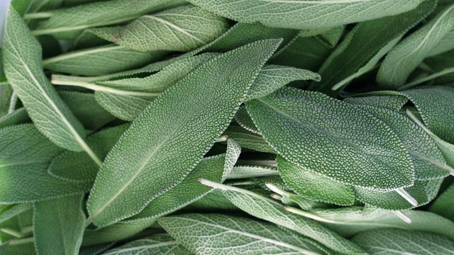 Lebaran 2023 ini diwarnai dengan sage