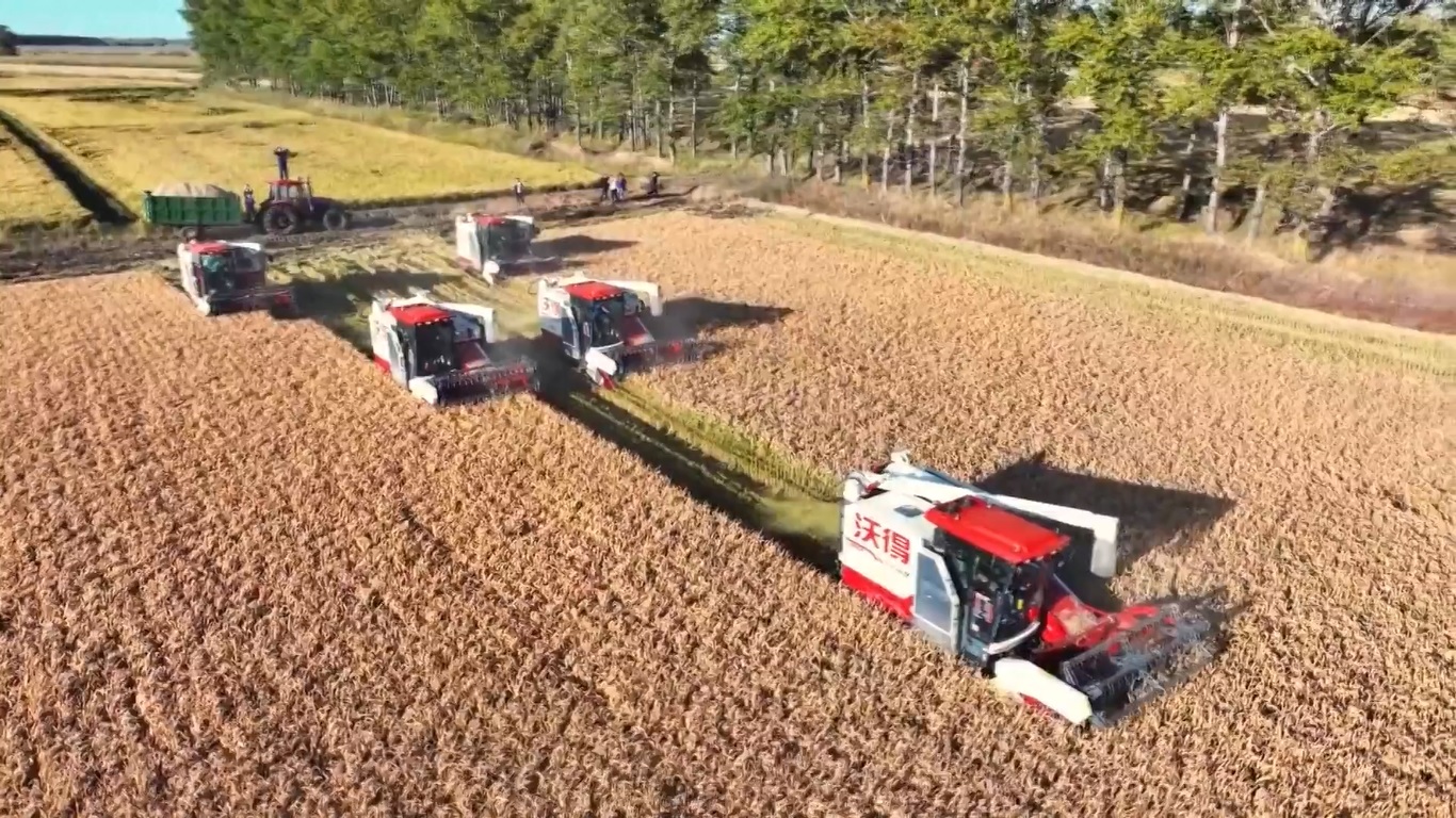 Ekspor Pertanian Tiongkok Capai Rekor Tertinggi dalam 8 Bulan Pertama 2025