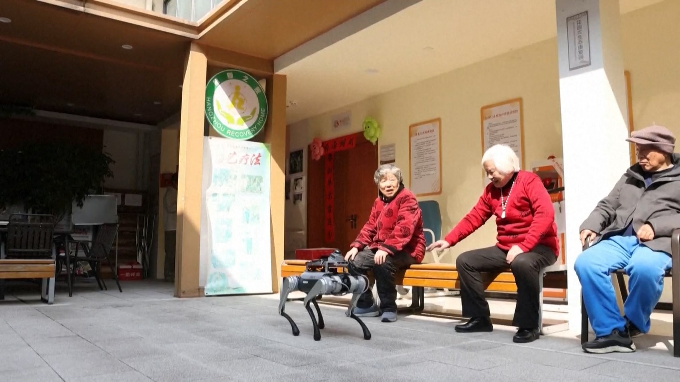 Standar tersebut menguraikan persyaratan untuk robot perawatan lansia di berbagai bidang seperti aksesibilitas