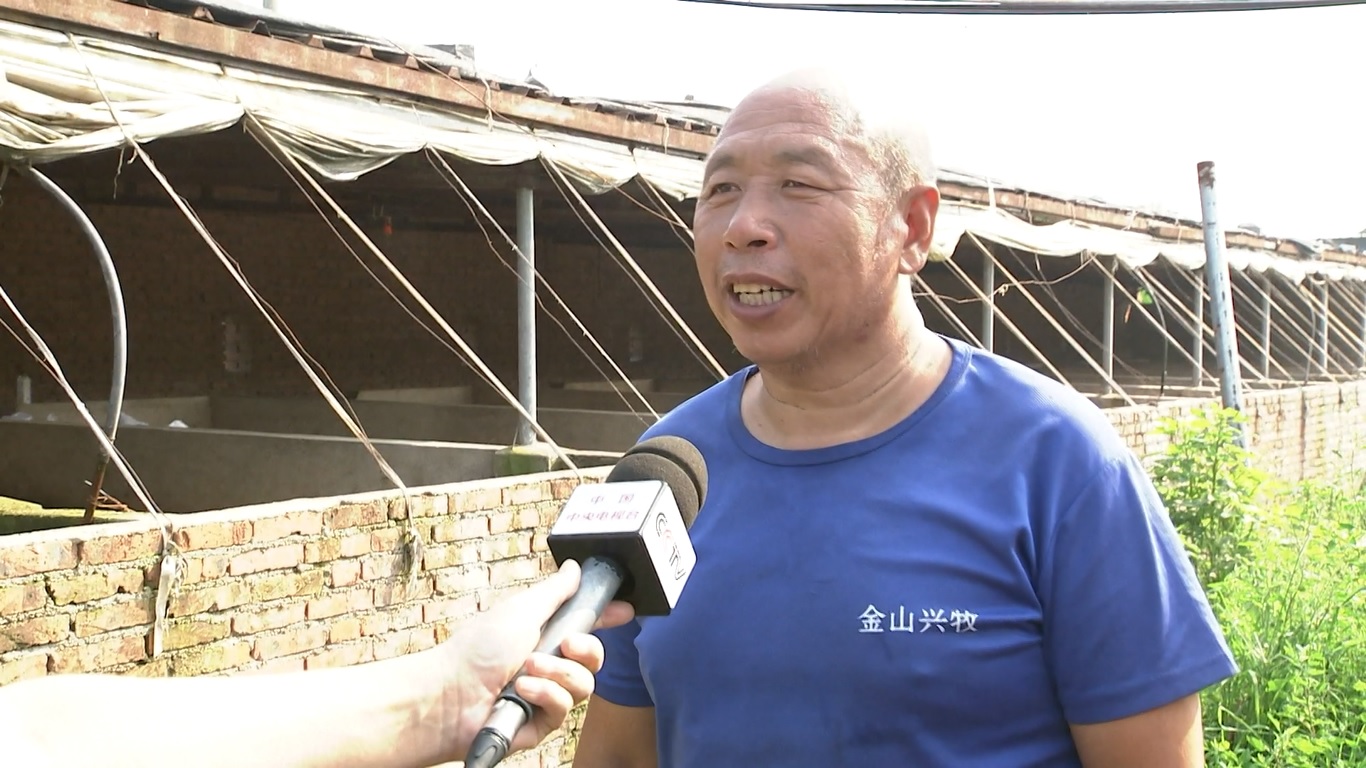 Data dari Kementerian Pertanian dan Urusan Pedesaan Tiongkok menunjukkan bahwa harga rata-rata babi di negara ini naik selama lima minggu berturut-turut menjadi 17