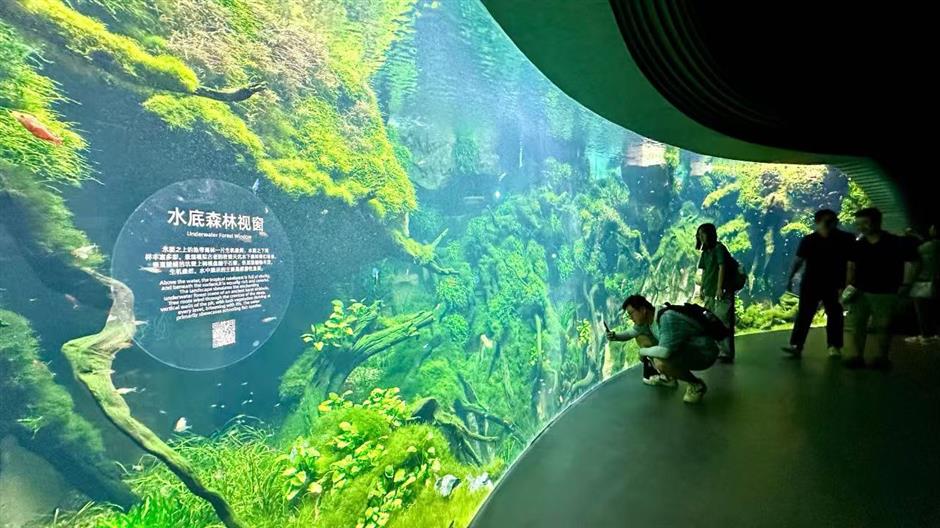 Dalam beberapa tahun terakhir Shanghai telah mendorong inisiatif Taman Kota yang bertujuan untuk menghiasi lanskap kota dengan ruang hijau yang menciptakan warna-warna menenangkan di tengah hutan beton di kawasan perkotaan