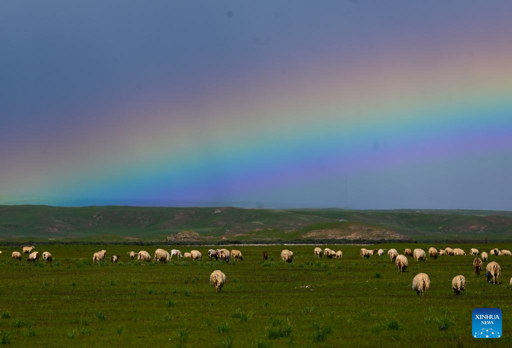 Hamparan padang rumput di Tianjun Provinsi Qinghai