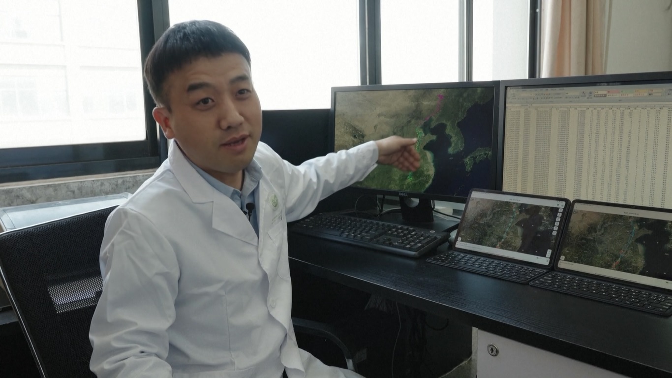 Tianjin telah menggunakan berbagai cara untuk memantau dan mengumpulkan informasi tentang bangau putih oriental