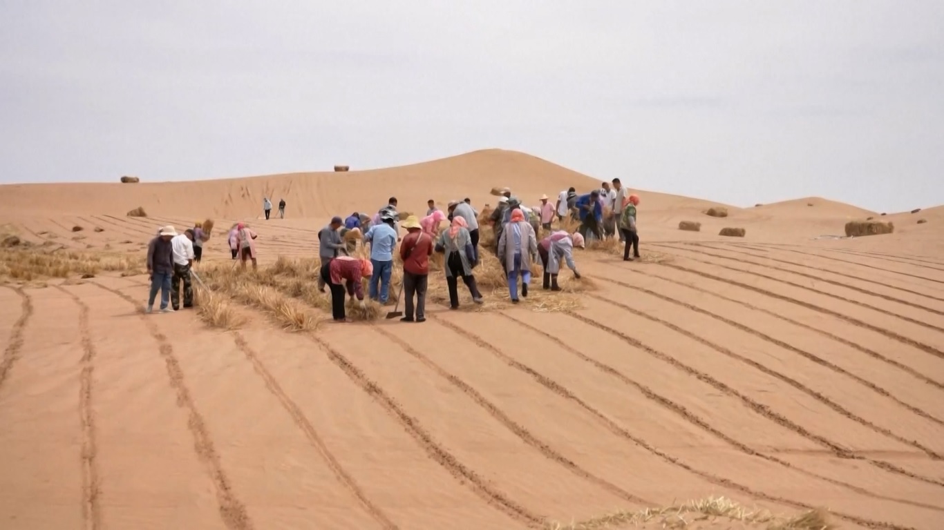 Tiongkok Rampungkan Pembangunan Penghalang Pasir yang Kelilingi Tiga Gurun Utama di Mongolia Dalam