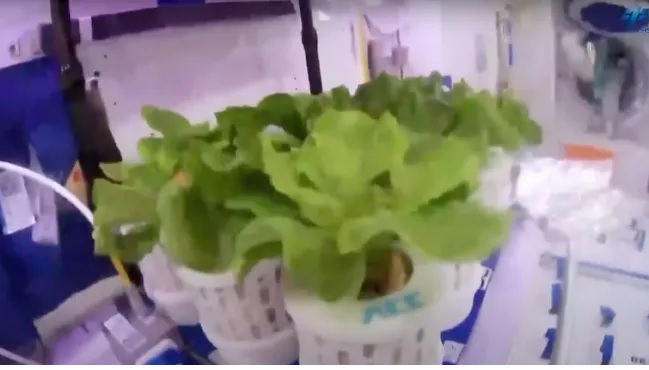 Tiongkok juga memiliki tujuan di masa depan