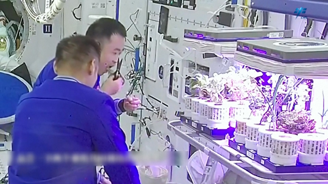 Kebun luar angkasa ini memiliki struktur modular dan terbuka yang dirancang oleh para peneliti di Pusat Penelitian dan Pelatihan Astronot Tiongkok
