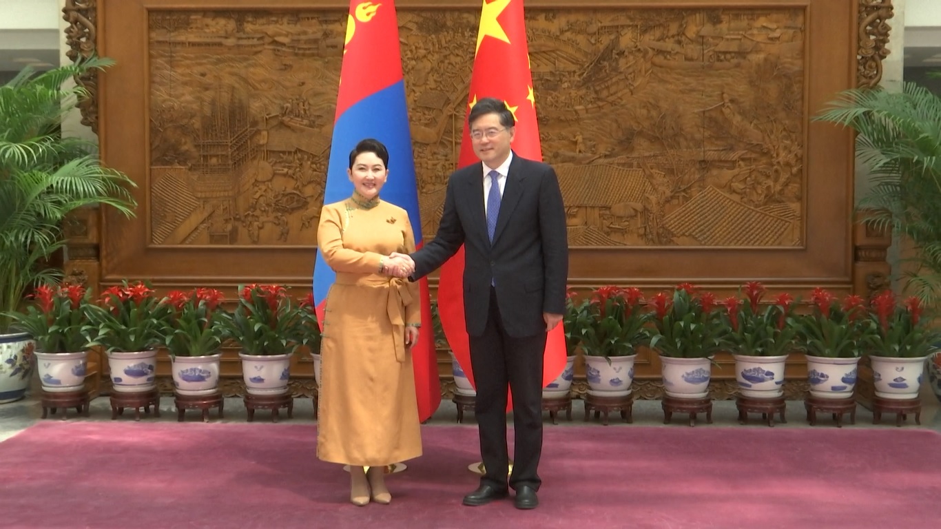 Qin mengatakan Tiongkok dan Mongolia adalah tetangga yang baik
