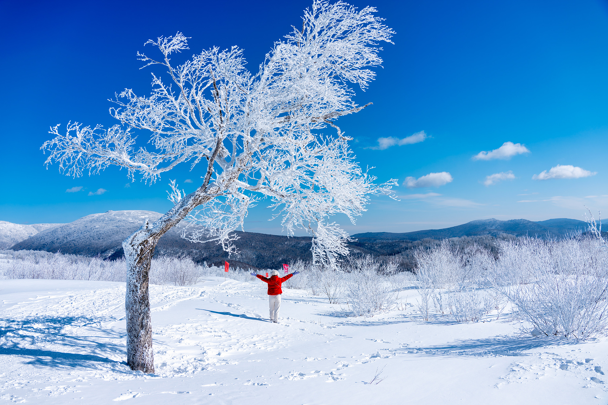 Gunung ini merupakan negeri ajaib yang indah selama musim dingin