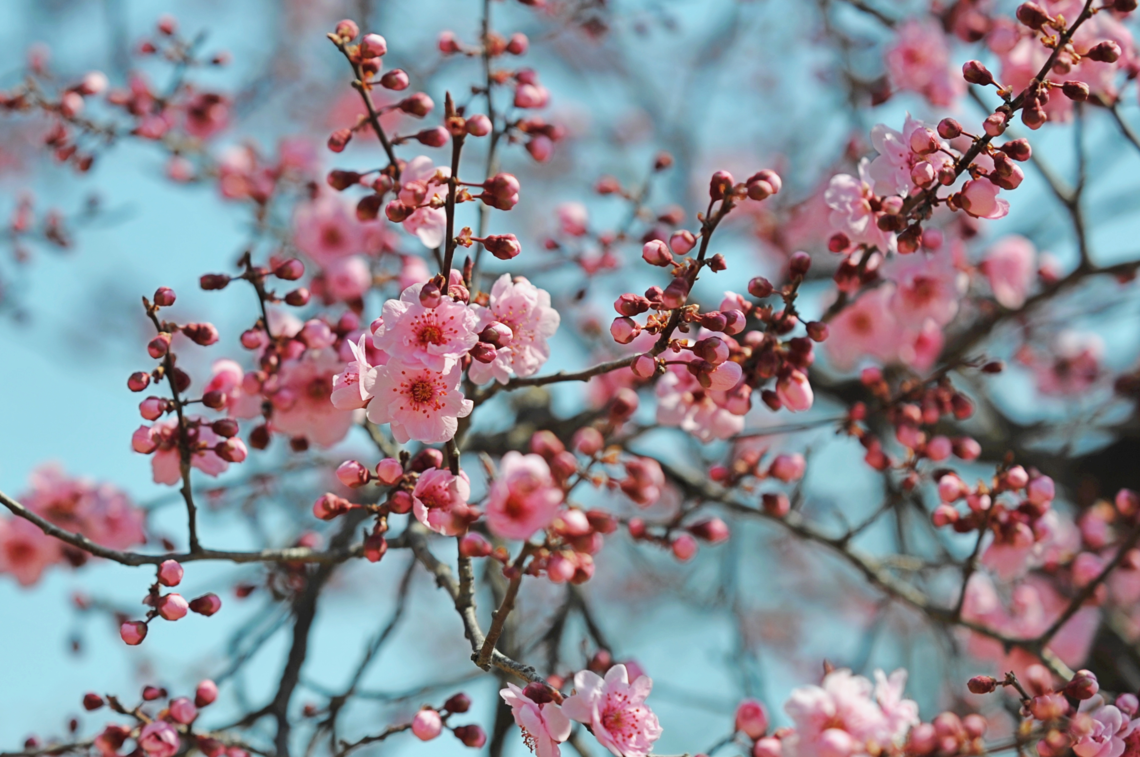 Terletak di tepi laut taman ini memanfaatkan sumber daya alamnya untuk menawarkan ruang hijau yang ramah lingkungan kepada pengunjung