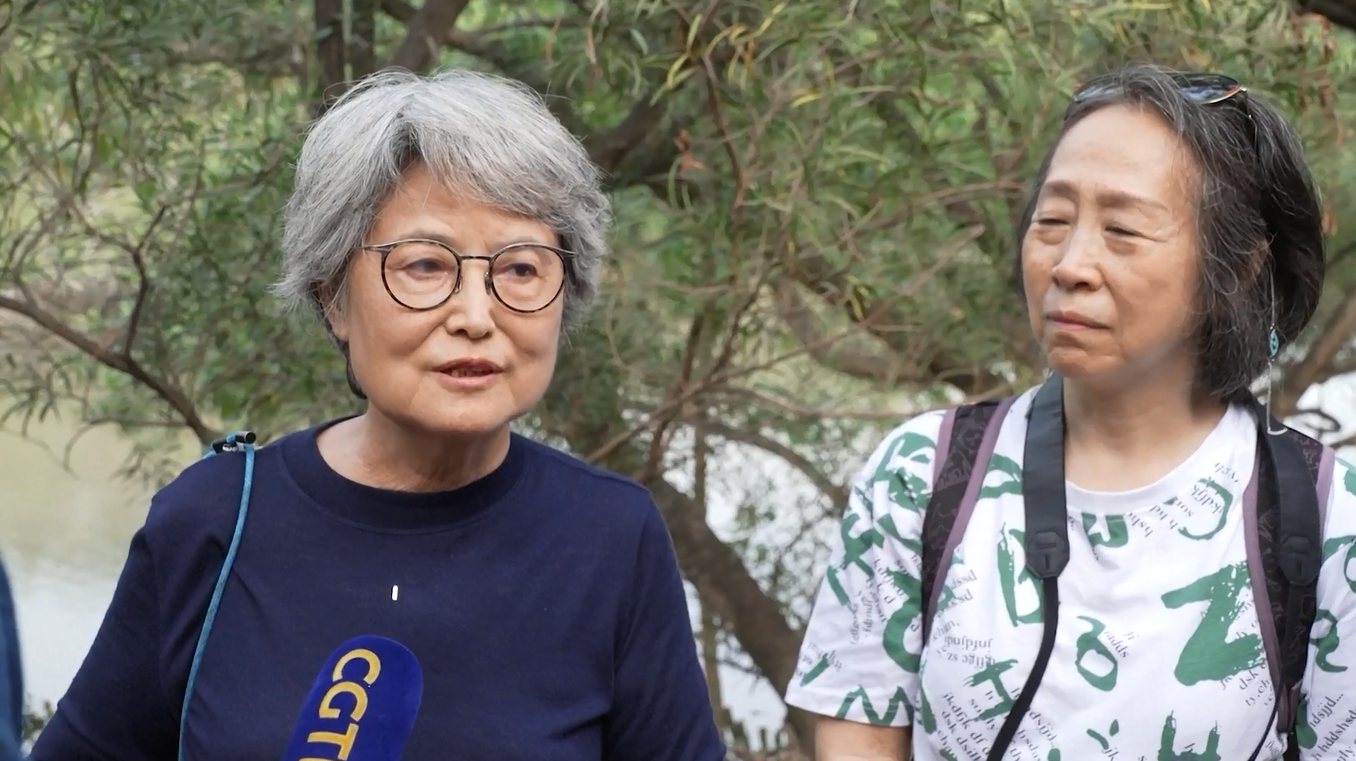 Cagar Alam Bakau Tumbuh Subur di Jantung Kota Shenzhen