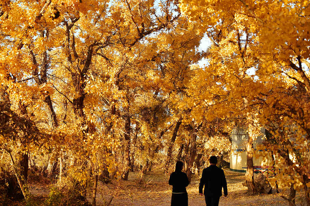 Pada hari musim gugur yang indah