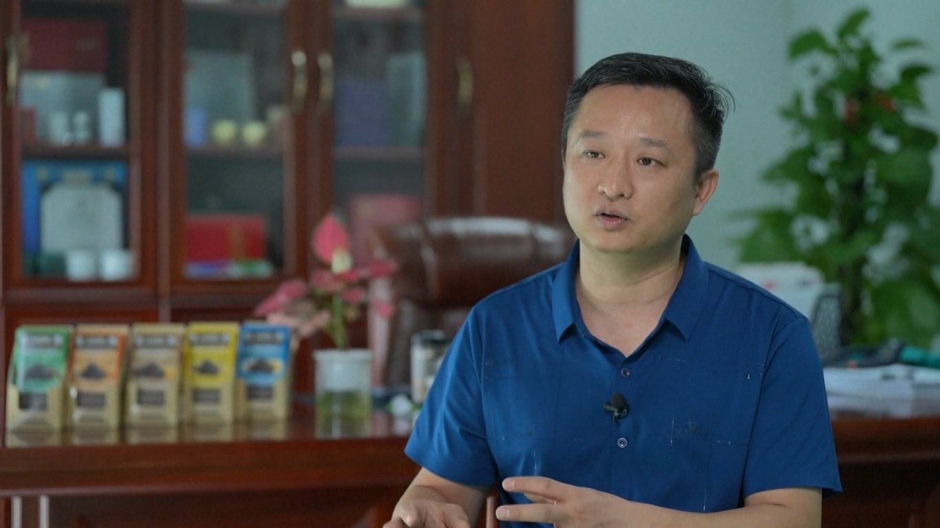 FTP Hainan merupakan rumah bagi puluhan ribu bisnis