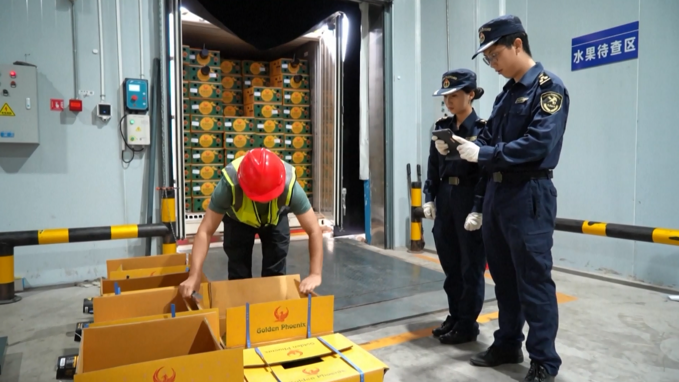 Jalur Kereta Api Tiongkok-Laos Catat Pertumbuhan yang Kuat dalam Perdagangan Lintas Batas