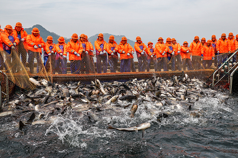 Danau Qiandao adalah danau air tawar buatan yang meliputi wilayah yang luas