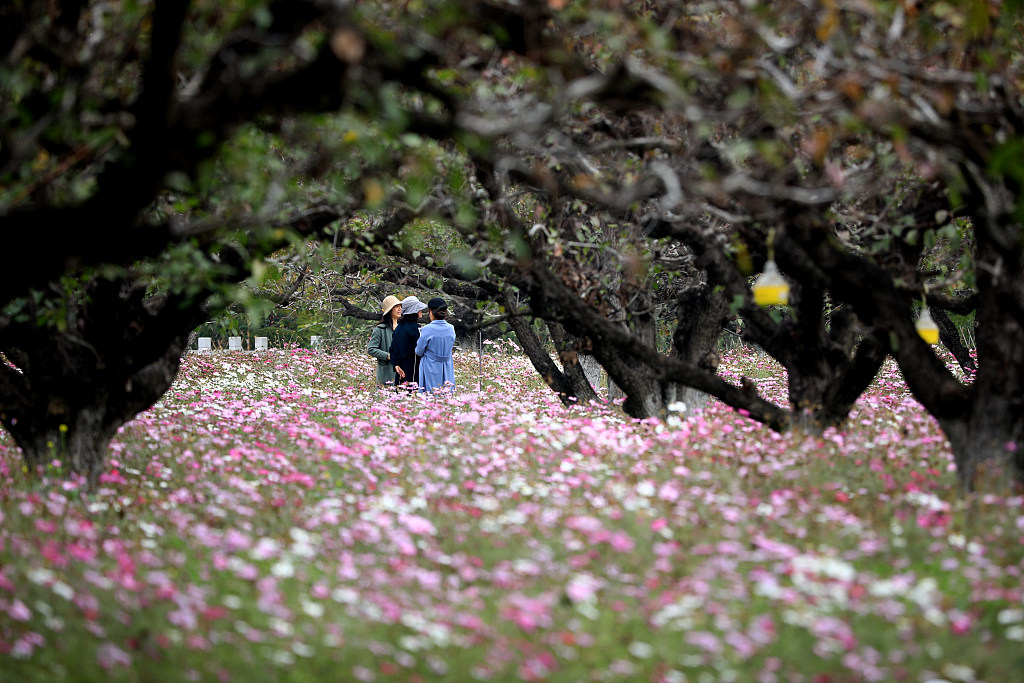 Hari Lidong menandakan berakhirnya musim gugur dan dimulainya musim dingin