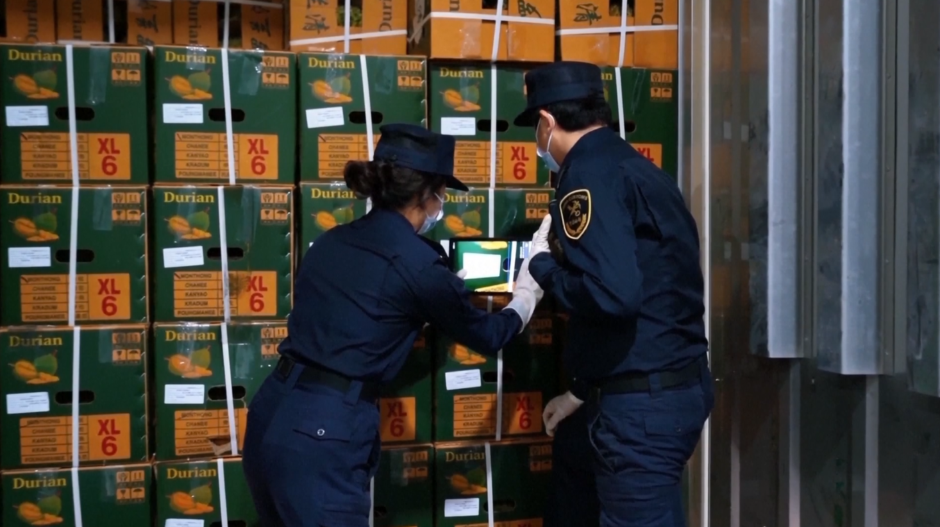 Volume Angkutan Barang Kereta Api Tiongkok-Laos Melonjak selama Musim Liburan Festival Musim Semi 2026