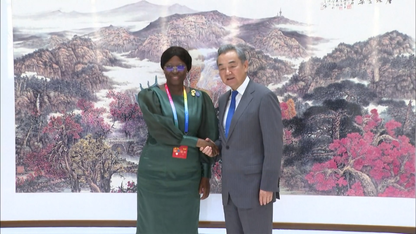 Tiongkok menyambut baik dukungan dan bantuan bagi Afrika dari semua pihak