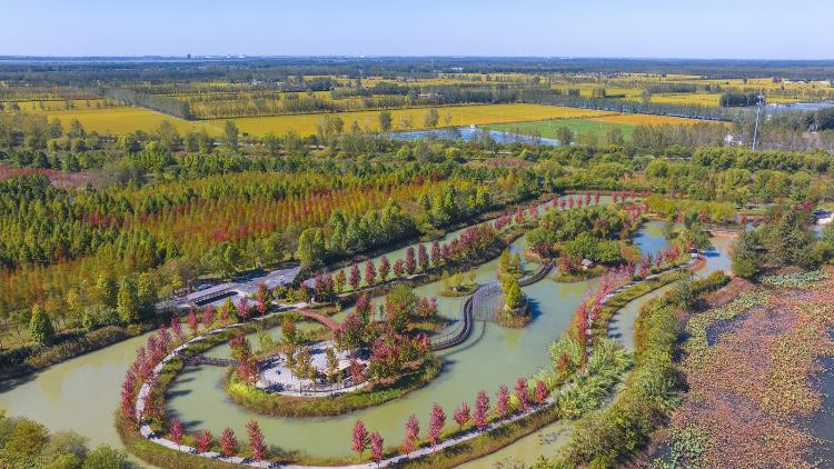 Taman-taman ini telah membantu melindungi 24 juta hektar lahan basah menyediakan habitat yang luas bagi spesies satwa liar