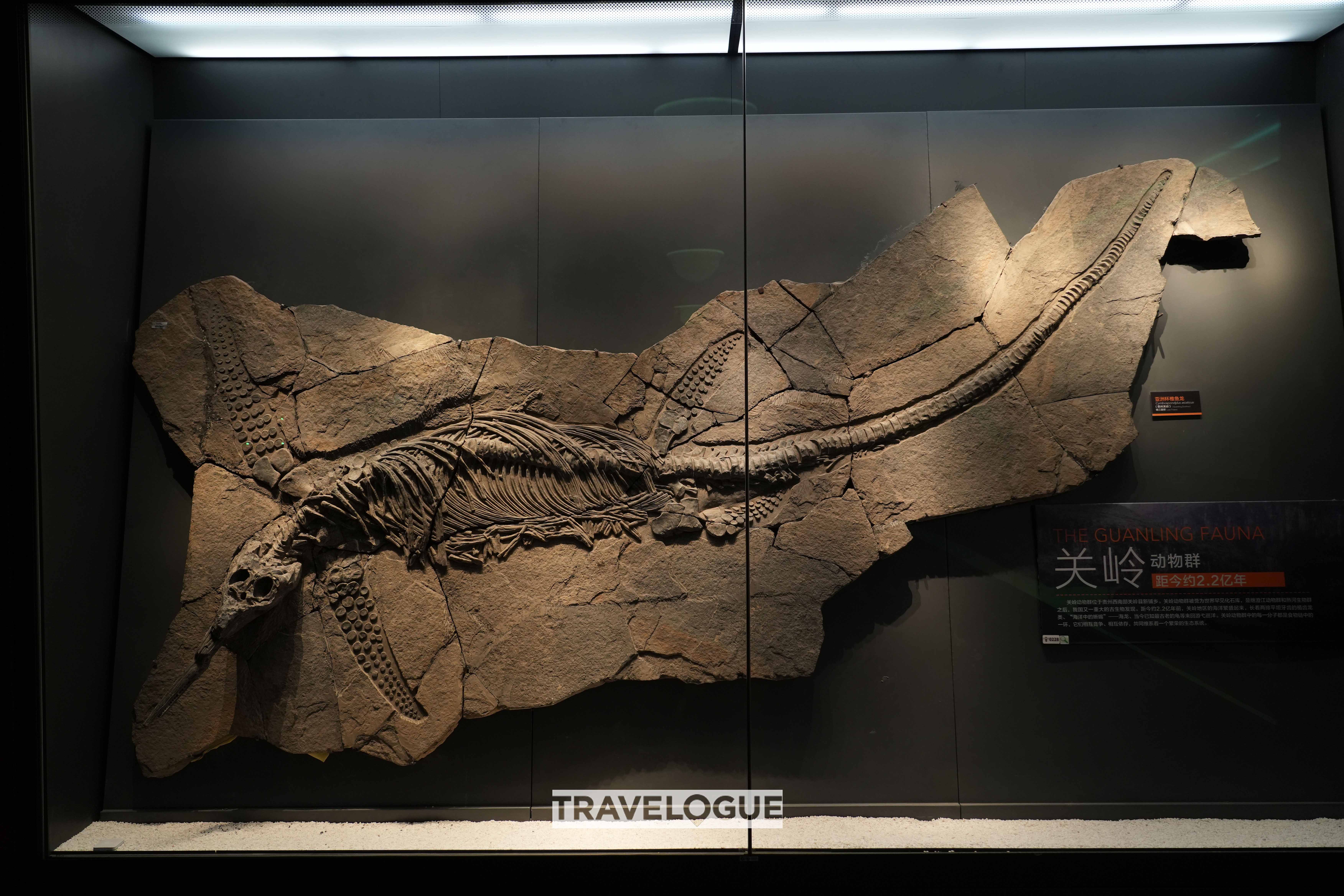 Menemukan Rahasia Laut di Museum Maritim Nasional Tiongkok