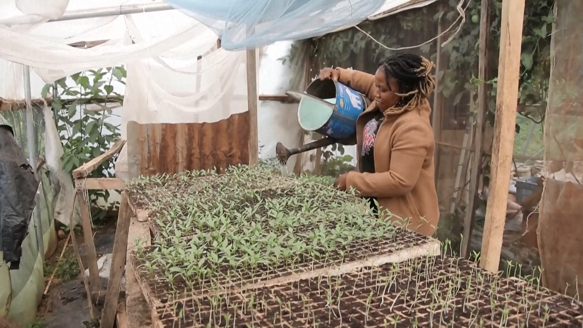 Presiden Nigeria Bola Tinubu berjanji akan membenahi sektor pertanian agar kinerjanya optimal