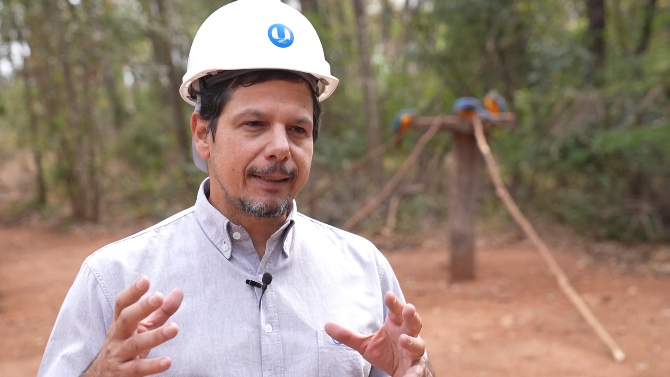 Brasil terkenal dengan keanekaragaman hayatinya yang kaya