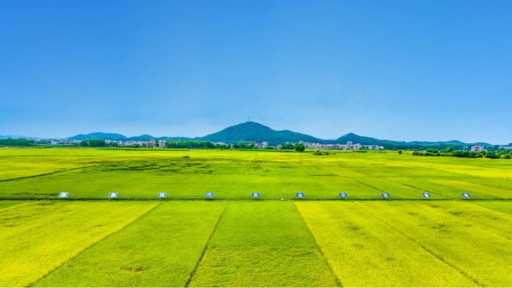 Pada akhir tahun 2024