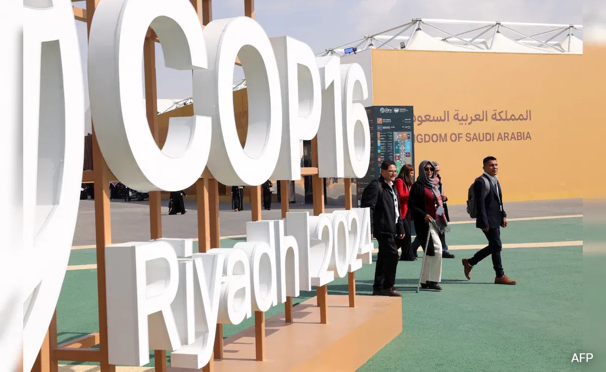 Luas lahan kering sekarang mencakup sekitar 40 persen dari daratan Bumi