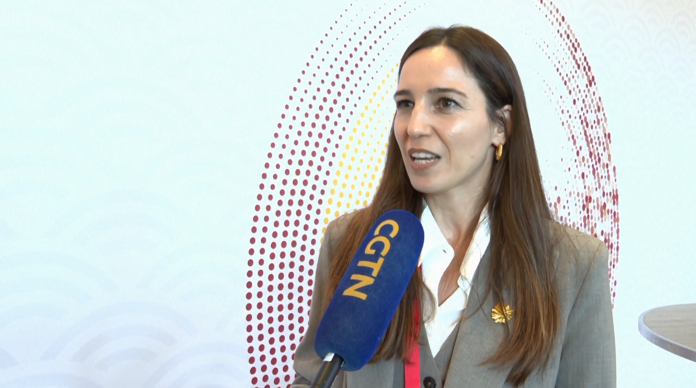 KTT Bisnis Tiongkok-Spanyol Membuka Jalan bagi Kolaborasi yang Lebih Mendalam