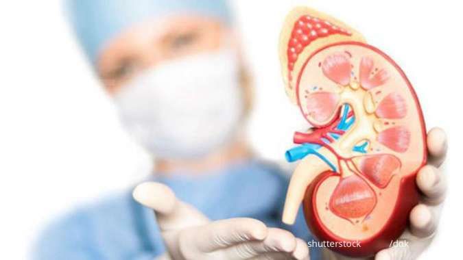 Ikatan Dokter Anak Indonesia (IDAI) melaporkan