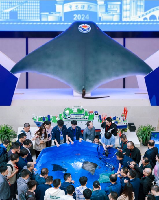 Dengan lebar sayap 1 meter dan berat 35 kilogram