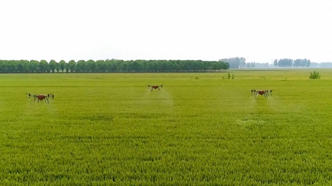 Provinsi itu tengah menapaki jalan pembangunan menyeluruh sembari menulis babak baru kemakmuran dalam perjalanan modernisasi Tiongkok