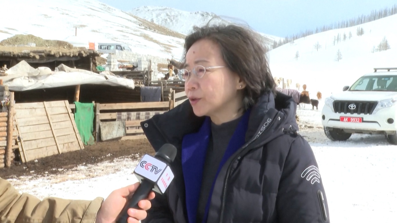 Musim dingin kali ini