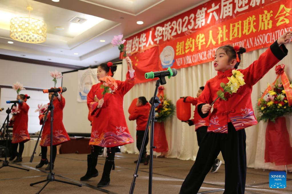 Dengan sejumlah besar orang Tionghoa Amerika dan fasilitas bisnis yang sehat