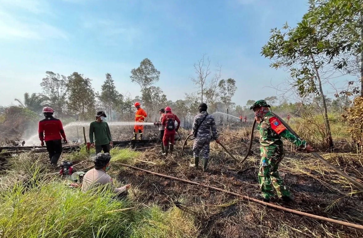 Kemenhut: Api di TN Way Kambas Padam, Seluruh Gajah Terpantau Aman