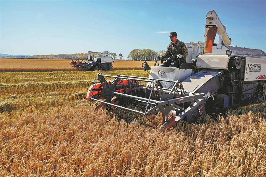 Tanah hitam yang dicirikan oleh lapisan tanah atasnya yang gelap dianggap sebagai keranjang makanan dunia”