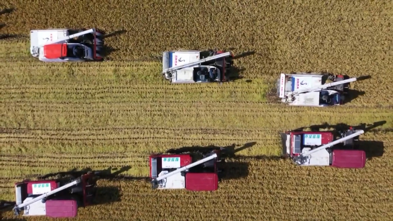 Luas areal biji-bijian secara nasional mencapai 118