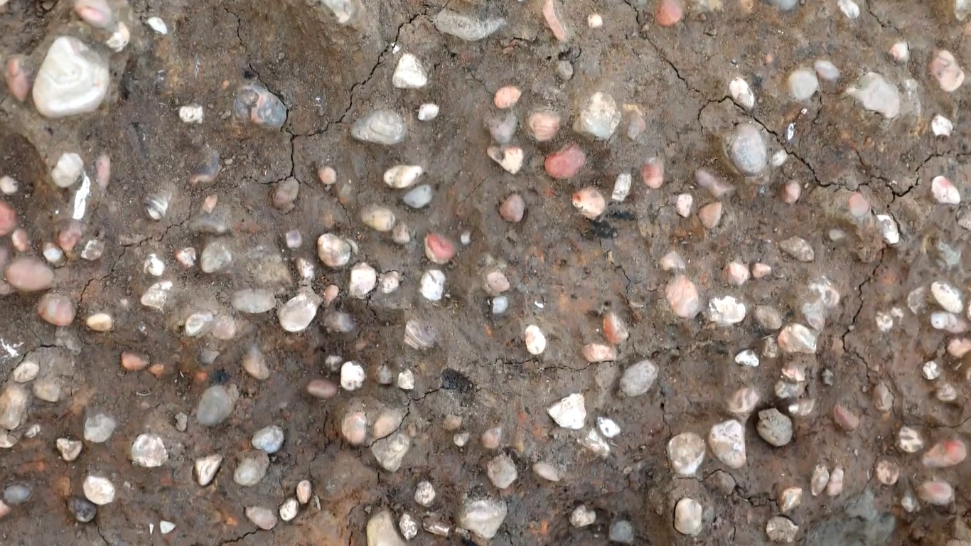 Awalnya ditemukan pada akhir tahun 1920-an