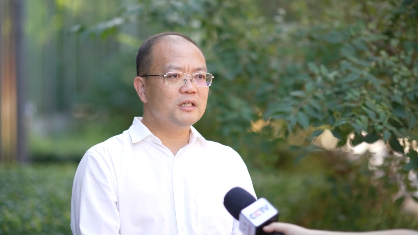 Tiongkok Memajukan Inovasi Perdagangan Jasa, Membuka Diri, dan Mendorong Pertumbuhan Ekonomi Global