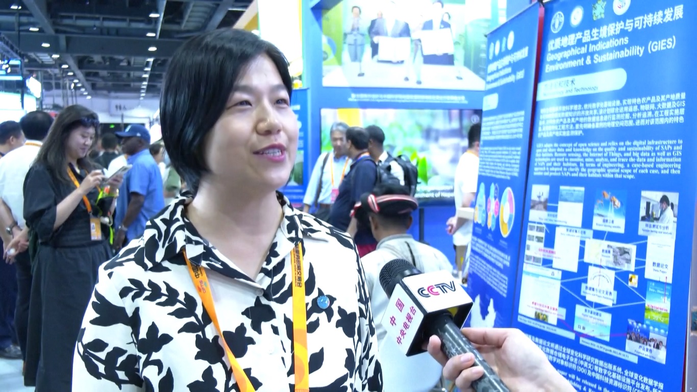 Pameran Jasa Tiongkok Berlanjut dengan Puluhan Forum dan Konferensi di Hari ke-2