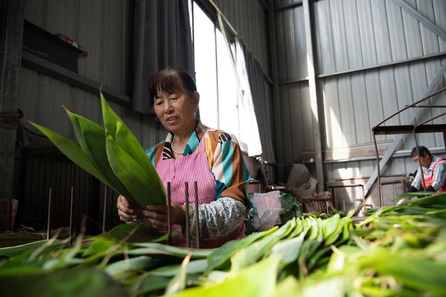 Desa-desa di Anhui Memanfaatkan Daun Bambu untuk Mengembangkan Industri Zongzi Tradisional