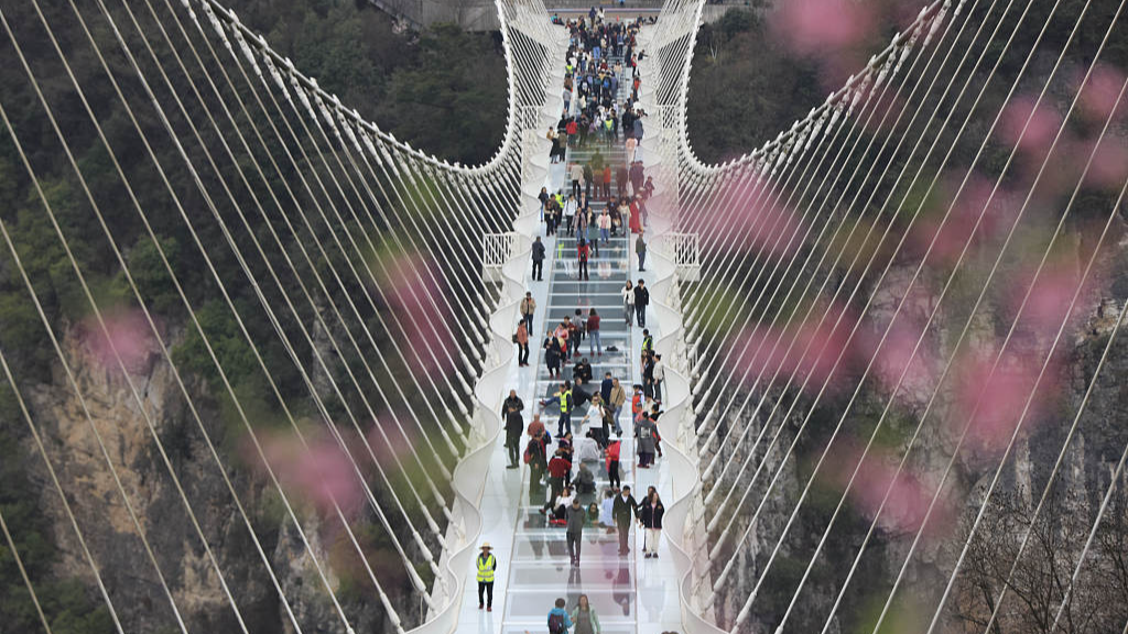 Jembatan dasar kaca membentang total 430 meter