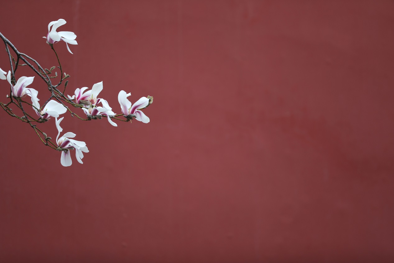 Ekuinoks Musim Semi atau dalam bahasa Mandarin disebut Chunfen