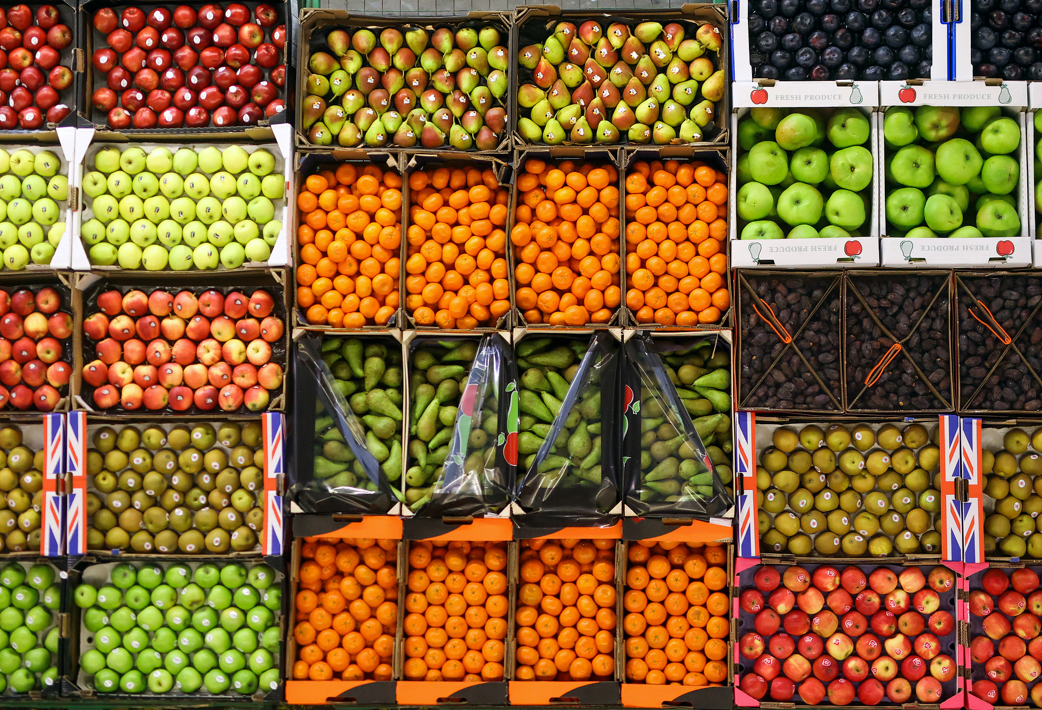 Tema hari ini tahun ini adalah Pentingnya kesehatan tanaman dalam One Health