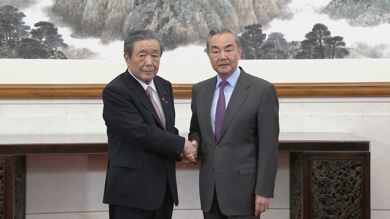 Delegasi tersebut dipimpin oleh Sekretaris Jenderal Hiroshi Moriyama dari Partai Demokrat Liberal dan Sekretaris Jenderal Makoto Nishida dari Partai Komeito